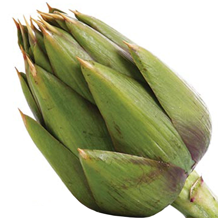 carciofi sardi biologici km zero orto di campagna consegna a domicilio