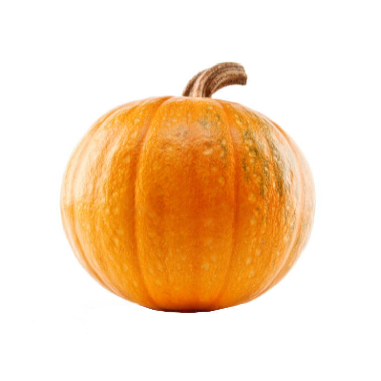 zucca orto di campagna consegna a domicilio Sassari