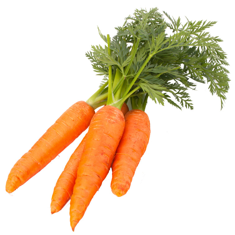 carote la spesa a domicilio acquista online prodotti di qualità orto di campagna