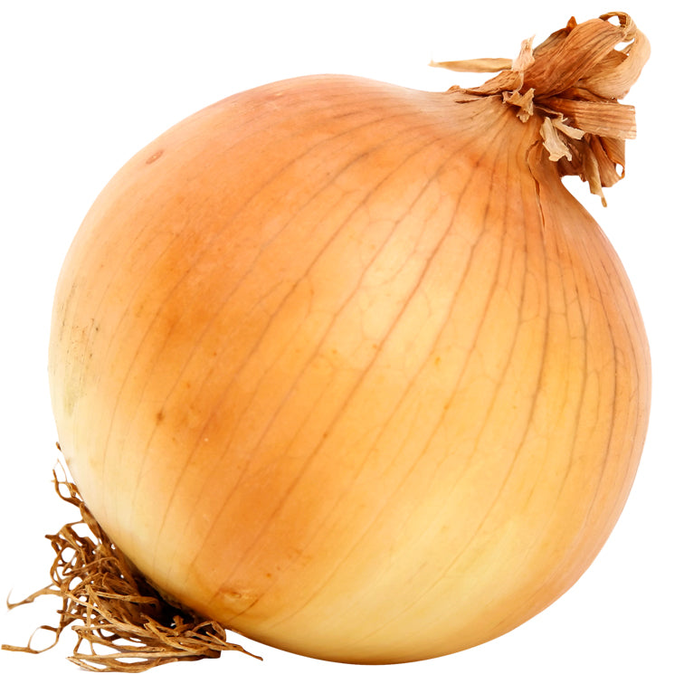 cipolle dorate produtte in Sardegna a km0 orto di campagna e sai cosa mangi