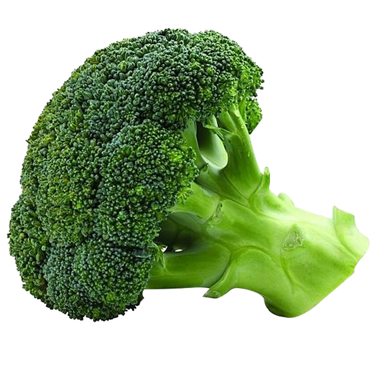 Broccoli