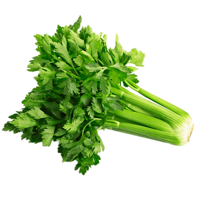 sedano sardo da filiera corta orto di campagna consegne a domicilio