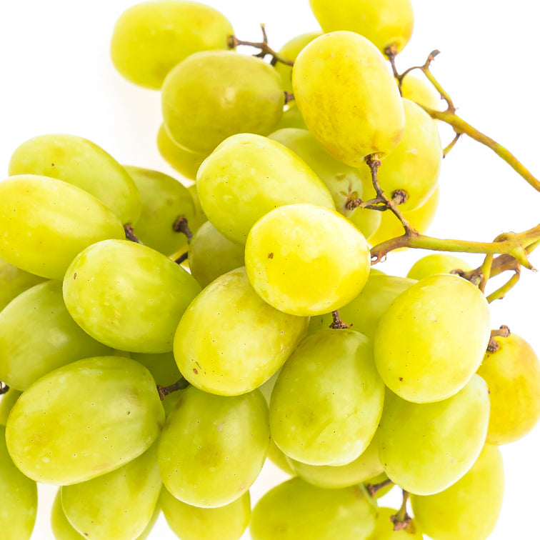 Uva Bianca
