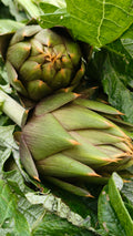 OFFERTA 12 CARCIOFI € 10