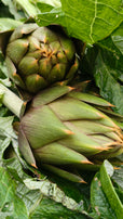 OFFERTA 12 CARCIOFI € 10