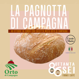 Cassetta Orto + "La Pagnotta di Campagna"