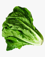 lattuga sarda consegna a domicilio frutta e verdura