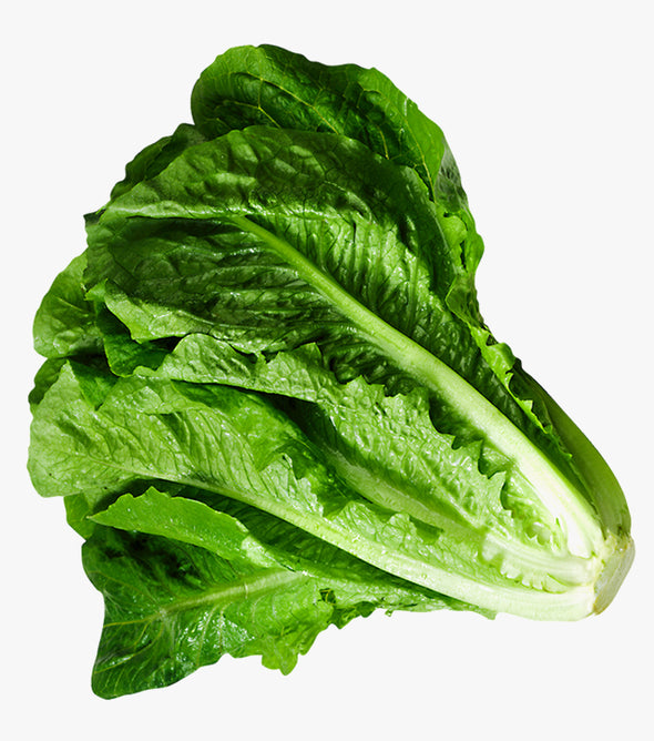 lattuga sarda consegna a domicilio frutta e verdura