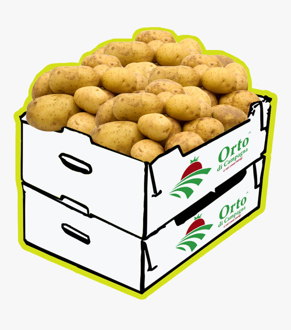 patate orto di campagna fresche spesa a domicilio