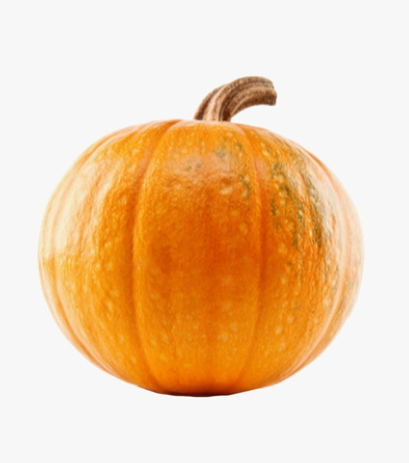 Orto di Campagna e sai cosa mangi